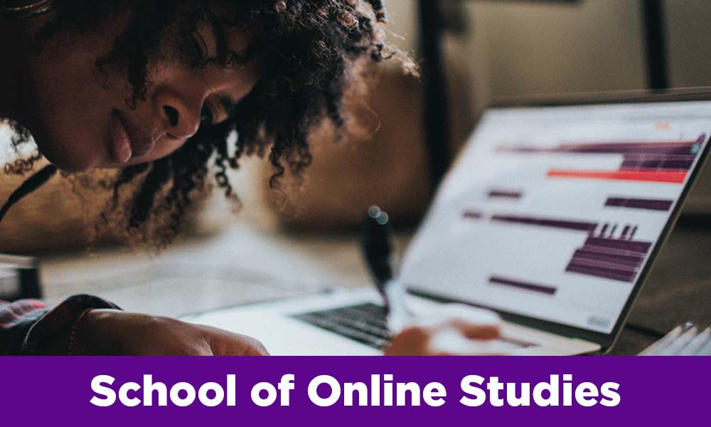 School of Online Studies